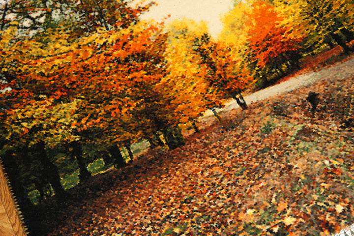 紅葉絨毯、秋の風景タペストリーペルシャ絨毯50104、秋のじゅうたん,オータムピクチャー、サイズ:71x53cm(フサ含まず)