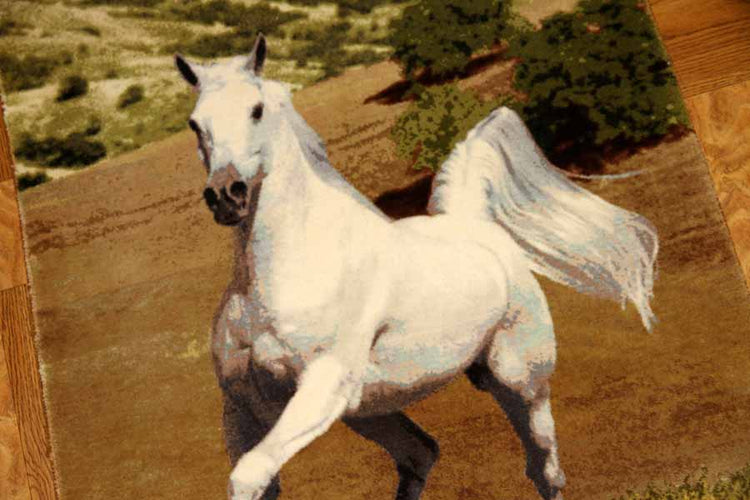 白馬絨毯、ペルシャ絨毯タブリーズピクチャー模様55357、サイズ:75x59 CM