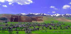 kurdestan-20