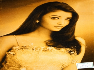 タペストリーペルシャ絨毯タブリーズ49117