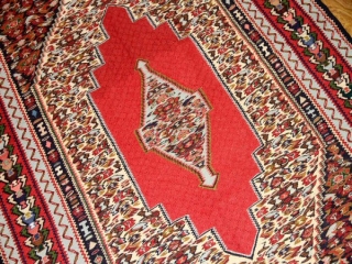 セネキリムのとっても綺麗な模様と色126000