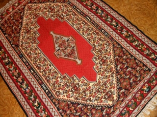 セネキリムのとっても綺麗な模様と色126000