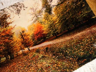 ペルシャ絨毯タブリーズ秋の風景タペストリー49106