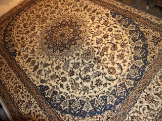 高級ナイン6ラリビングジュウタン6660