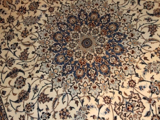 高級ナイン6ラリビングジュウタン6660