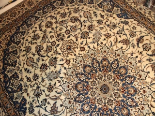 高級ナイン6ラリビングジュウタン6660