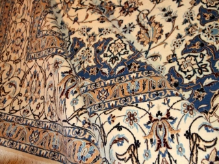 高級ナイン6ラリビングジュウタン6660