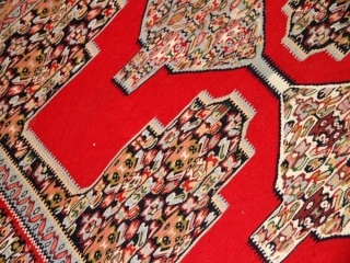 赤いキリムのセネ高級品質センターラグ146000