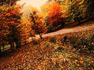 ペルシャ絨毯タブリーズ秋の風景タペストリー49106