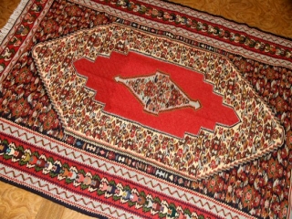 セネキリムのとっても綺麗な模様と色126000