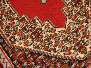 セネキリムのとっても綺麗な模様と色126000