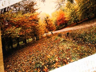ペルシャ絨毯タブリーズ秋の風景タペストリー49106