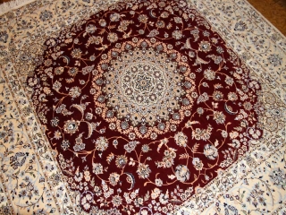 ハビビヤン工房最高級正方形絨毯57033