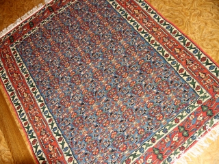 手織り高級キリムのセネ産地センターラグ124000