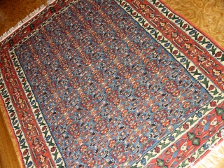 手織り高級キリムのセネ産地センターラグ124000