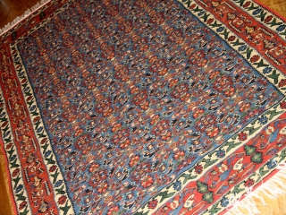 手織り高級キリムのセネ産地センターラグ124000