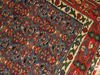 手織り高級キリムのセネ産地センターラグ124000