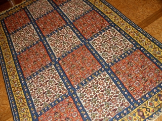 最高級セネキリムのリビングサイズ149000