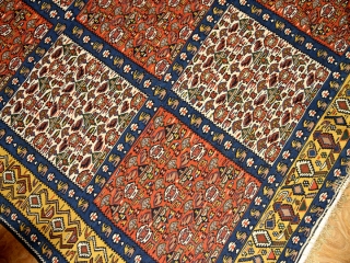 最高級セネキリムのリビングサイズ149000