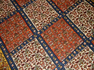 最高級セネキリムのリビングサイズ149000