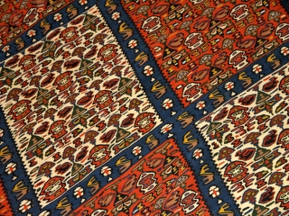 最高級セネキリムのリビングサイズ149000