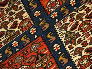 最高級セネキリムのリビングサイズ149000