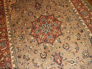リビングのカーペットのペルシャ絨毯19974