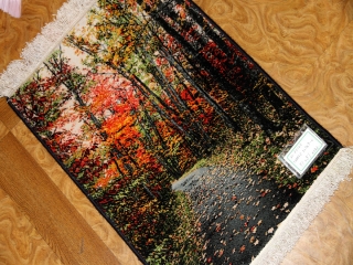 じゅうたん紅葉の風景、自然景色のペルシャ50102