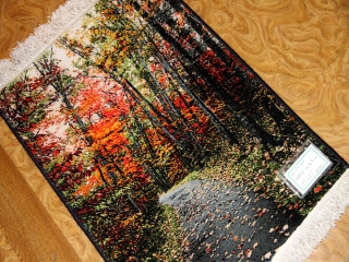 じゅうたん紅葉の風景、自然景色のペルシャ50102