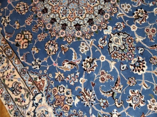 ナインブルーとても綺麗な色彩ペルシャ手織り絨毯21127