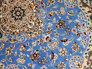 ナインブルー憧れの色彩ペルシャ玄関絨毯21192