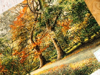 オータムの風景でペルシャ手織り絨毯50111