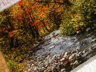 森の風景と川のピクチャー手織りタブリーズ絨毯50106