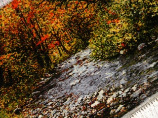 森の風景と川のピクチャー手織りタブリーズ絨毯50106