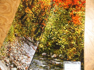 森の風景と川のピクチャー手織りタブリーズ絨毯50106