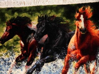 タブリズの馬のピクチャー手織りペルシャ55350