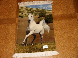 白馬絨毯、ペルシャ絨毯タブリーズピクチャー模様55357