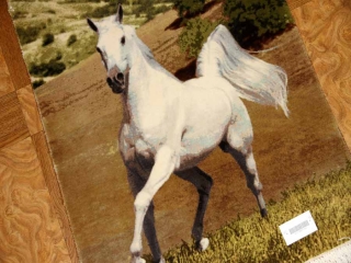 白馬絨毯、ペルシャ絨毯タブリーズピクチャー模様55357