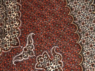 タブリーズペルシャ絨毯手織りラグ50127