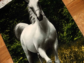 ペルシャ絨毯タブリーズピクチャー白い馬55352