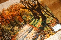 ペルシャ絨毯ピクチャ模様タブリーズ49110