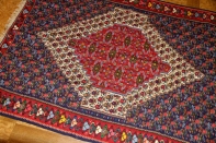 セネキリムのセンターラグカーペット5589