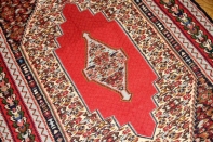 セネキリムのとっても綺麗な模様と色126000