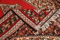 セネキリムのとっても綺麗な模様と色126000