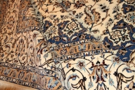 高級ナイン6ラリビングジュウタン6660