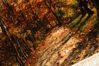 ペルシャ絨毯タペストリータブリーズ自然風景49108