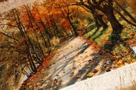 ペルシャ絨毯ピクチャ模様タブリーズ49110