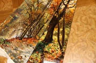 ペルシャ絨毯ピクチャ模様タブリーズ49110