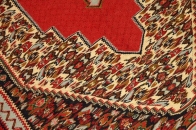 セネキリムのとっても綺麗な模様と色126000