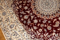 ハビビヤン工房最高級正方形絨毯57033